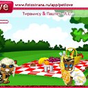 ���� Reana, �����-���������, 46 ��� - ��������� 11 �������� 2010 � ������ �PetLove�