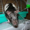 ���� Meritaton, ����, 47 ��� - ��������� 8 ������� 2009 � ������ �������������)) ���....�