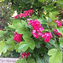 ���� �������(���������� ����), ������� - ��������� 26 ���� 2013 � ������ ���� ����������