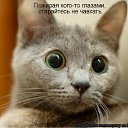 ���� ����, ����������� - ��������� 9 ������� 2010 � ������ ������� ���� �������)�