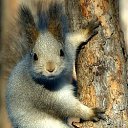 ���� �������, ��������, 50 ��� - ��������� 14 ������ 2012 � ������ ���� ����������