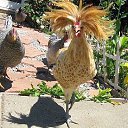 ���� E��������, ������, 59 ��� - ��������� 26 ���� 2013 � ������ ������ ��������