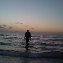  , , 37  -  16  2010   PetLove