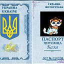 ���� ����, ������, 41 ��� - ��������� 12 ������� 2010 � ������ ���� ��������... ������ ����