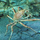 ���� ����, �����-���������, 57 ��� - ��������� 23 ������ 2011 � ������ �� �����������