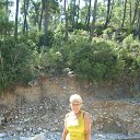 ���� ����, ����� - ��������� 8 ������� 2012 � ������ ���� ����������