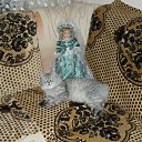 ���� Svetlanas, ���������, 47 ��� - ��������� 7 ���� 2010 � ������ ���� �������