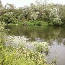 ���� ���� �� ������� ���� ����������