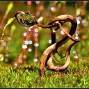 ���� ������, ������, 34 ���� - ��������� 26 ��� 2010 � ������ ����� � ��������