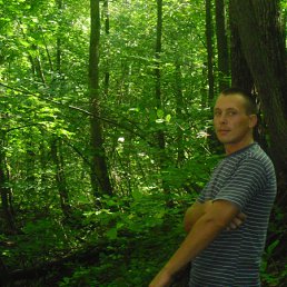 ���� �������, ������, 41 ��� - ��������� 22 ���� 2012