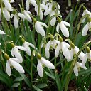 ���� Smile, ������, 55 ��� - ��������� 12 ������ 2010 � ������ ���� ����� � ������