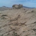 ���� ���������, ������, 68 ��� - ��������� 31 ������� 2011 � ������ �������