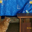 ���� �������, ���������, 52 ���� - ��������� 6 ���� 2013 � ������ ����� ��� ������������