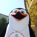 ���� �����, ����, 46 ��� - ��������� 11 ���� 2012