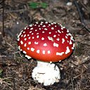 ���� ���, ������ - ��������� 13 ������ 2010 � ������ �������