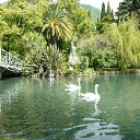 ����� ����. �� ������� �� �������