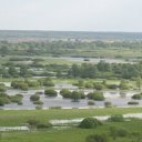 ���� �����, ������, 51 ��� - ��������� 11 ������� 2010