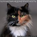 ���� �������, ������������ - ��������� 10 ���� 2012 � ������ �������