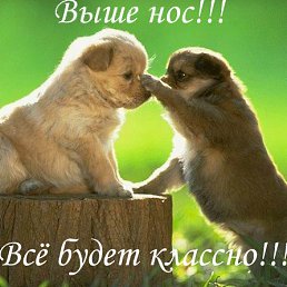 ���� ����, �����, 50 ��� - ��������� 9 �������� 2010