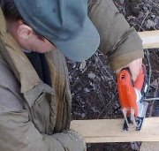 Alexandro Kytmanoff, �����������, 59 ���