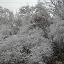 ���� ��������, �������, 60 ��� - ��������� 25 ������ 2011 � ������ ���� ����������