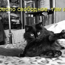 ���� �����, ��������� - ��������� 11 ������ 2012