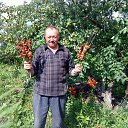 ���� ������, ���������, 66 ��� - ��������� 5 ���� 2013 � ������ ���� ����������