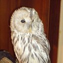 ���� ������, ������, 56 ��� - ��������� 14 ������ 2012