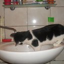 ���� ����, ������ - ��������� 11 ���� 2010 � ������ ������