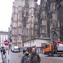 ���� ������, ������, 54 ���� - ��������� 5 ������ 2013 � ������ ���� ����������