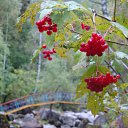 ���� ������, ������, 54 ���� - ��������� 17 ������� 2010 � ������ �����������