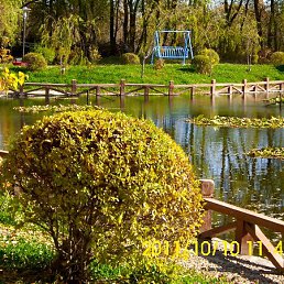 ���� ������, ����, 54 ���� - ��������� 4 ������� 2012