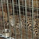 ���� �������, ������������ - ��������� 5 ���� 2010 � ������ �������