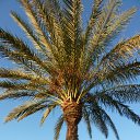 ���� ���, ������ - ��������� 26 �������� 2010 � ������ �������, ����-2010�