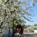 ���� Svetlana, ����� - ��������� 14 ������� 2012 � ������ ���� ����������