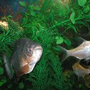 ���� ����, ������ - ��������� 22 ������� 2012 � ������ ���� ��������� �� ���������� �����!!!�