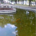  Al., , 51  -  15  2012    