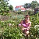 ���� ������, ����, 43 ���� - ��������� 29 ��� 2013