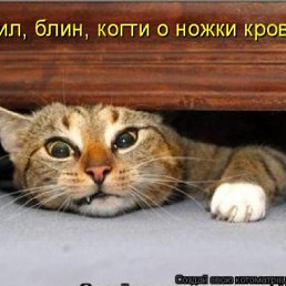 ���� �������, ��������, 35 ��� - ��������� 17 ������ 2011