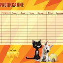 ���� �������, �����, 46 ��� - ��������� 5 ������ 2010 � ������ ���������