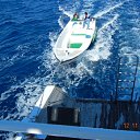 ���� ����, ������, 43 ���� - ��������� 21 ������ 2011 � ������ ������� - �����������