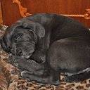 ���� ��������, ������, 42 ���� - ��������� 28 �������� 2010