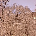 ���� ������, ������, 47 ��� - ��������� 4 ������� 2013 � ������ �������� ������