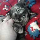 ���� ����, ����������� - ��������� 9 ������ 2010 � ������ ��������