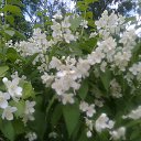 ���� �������, ������, 64 ���� - ��������� 27 ���� 2012 � ������ ���� ����������