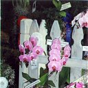 ���� ����. ��������� �� ��!, ������, 72 ���� - ��������� 13 ������ 2011 � ������ ��������