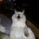   ( ),  -  22  2012     Ҹ!!!