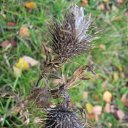 ���� ���������, ���������� - ��������� 23 ������� 2010 � ������ �������������Ż