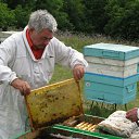 ���� �������, ������, 85 ��� - ��������� 11 ������� 2009 � ������ ���� ����������