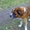 ���� ���������, �����������, 35 ��� - ��������� 16 ������� 2010 � ������ ������